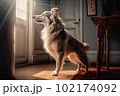 Excited and happy dog at home door entrance waiting the arrival of her master. Created with Generative AI technology. 102174092