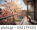 Bored pet dog looking out from balcony of high rise home apartment with morning sun rays, Created with Generative AI technology. 102174101
