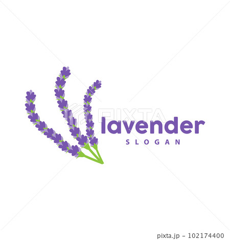 Lavender Logo, Simple Elegant Purple Flower Plant Vector, Greeting Card Design, Banner, Flower Ornament, Lavender Hand Drawn Wedding, Icon Symbol Illustration Lavender Logo, Simple Elegant Purple Flower Plant Vector, Greeting Card Design, Banner, Flower Ornament, Lavender Hand Drawn Wedding, Icon Symbol Illustration 102174400