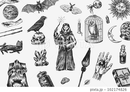 Witch brews a potion in a cauldron. Magic ball, book of spells, black cat, beldam and sorcery, Crow 102174826