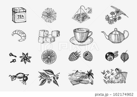 Herbal Tea bag brewing cooking directions. Teapot, cup, sugar, plants, landscape, raspberries 102174902