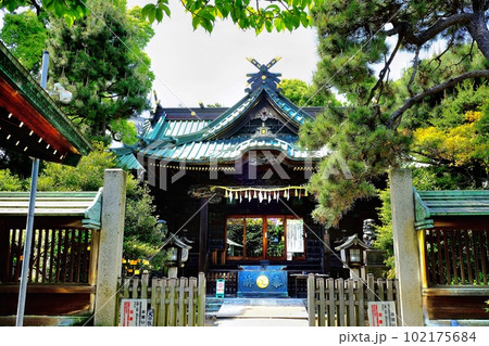 品川区　荏原神社 102175684