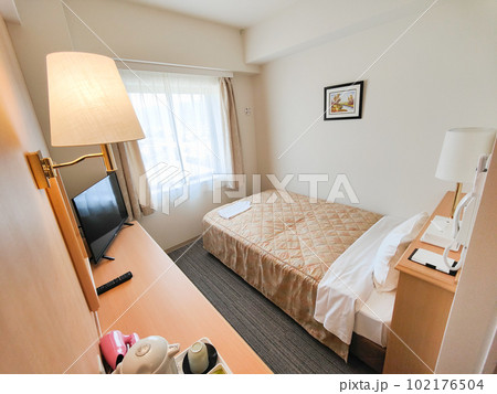 ビジネスホテルの部屋 ビジネスホテルの部屋 102176504