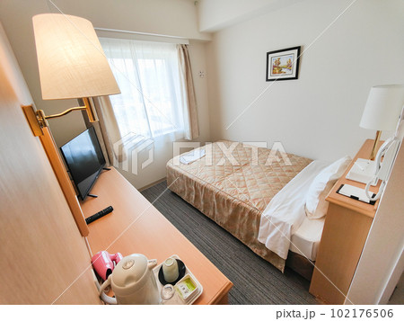 ビジネスホテルの部屋 ビジネスホテルの部屋 102176506