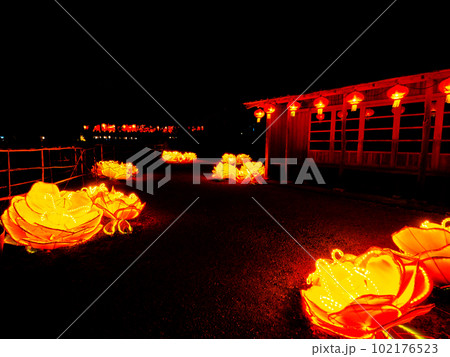 琉球ランタン 102176523