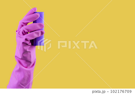 Hand in purple rubber glove holding violet washing sponge on banner background with copy space Hand in purple rubber glove holding violet washing sponge on banner background with copy space 102176709