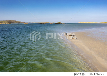 Seals swimming and and resting at Gweebarra bay - County Donegal, Ireland 102176777