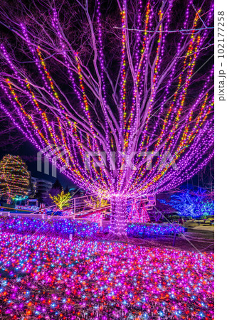 JEWELLUMINATION 2022-2023 JEWELLUMINATION 2022-2023 102177258