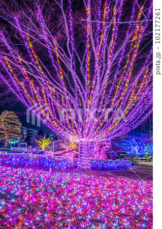 JEWELLUMINATION 2022-2023 JEWELLUMINATION 2022-2023 102177261