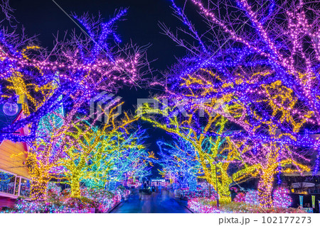 JEWELLUMINATION 2022-2023 JEWELLUMINATION 2022-2023 102177273