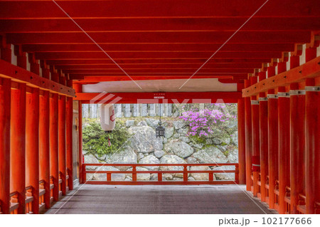 厳島神社　西廻廊 102177666