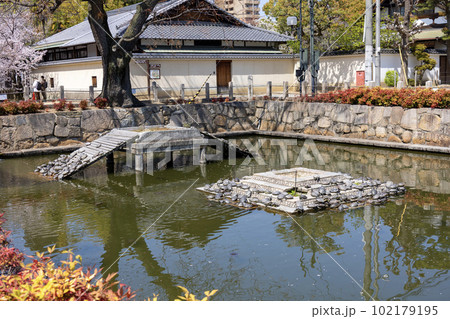 大阪・四天王寺「亀の池」(2023年4月1日撮影) 大阪・四天王寺「亀の池」(2023年4月1日撮影) 102179195