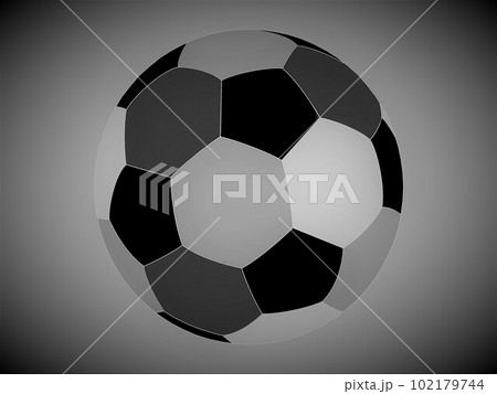 3アイコンサッカービーチボール白黒4 102179744