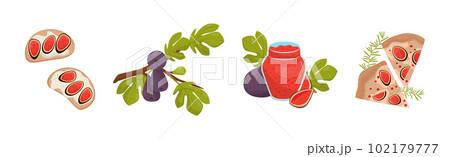 Fig Food with Fruit, Jam, Sandwich and Pizza Slice Vector Set Fig Food with Fruit, Jam, Sandwich and Pizza Slice Vector Set 102179777