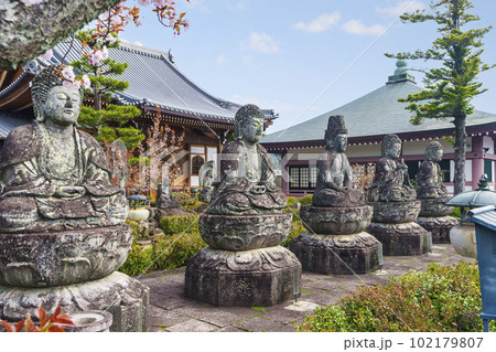 五智山蓮華寺　五智如来像　桜咲く季節（京都市右京区御室） 102179807