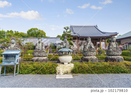 五智山蓮華寺　五智如来像　桜咲く季節（京都市右京区御室） 102179810