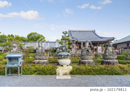 五智山蓮華寺　五智如来像　桜咲く季節（京都市右京区御室） 102179811