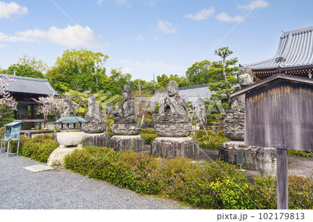 五智山蓮華寺 五智如来像 桜咲く季節(京都市右京区御室) 五智山蓮華寺 五智如来像 桜咲く季節(京都市右京区御室) 102179813