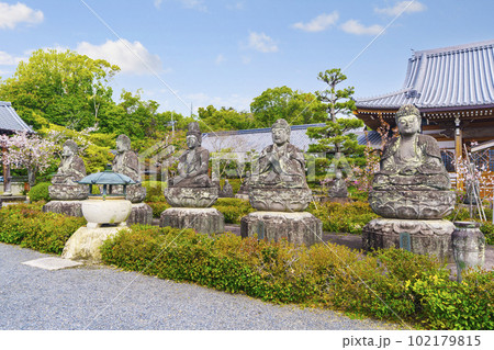 五智山蓮華寺　五智如来像　桜咲く季節（京都市右京区御室） 102179815