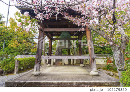 五智山蓮華寺 鐘楼 桜咲く季節(京都市右京区御室) 五智山蓮華寺 鐘楼 桜咲く季節(京都市右京区御室) 102179820