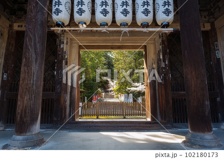 滋賀 三井寺の大門(仁王門) 滋賀 三井寺の大門(仁王門) 102180173
