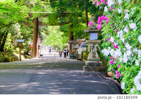 【奈良県】天理市 石上神宮 (2023/04/27撮影) 【奈良県】天理市 石上神宮 (2023/04/27撮影) 102180309