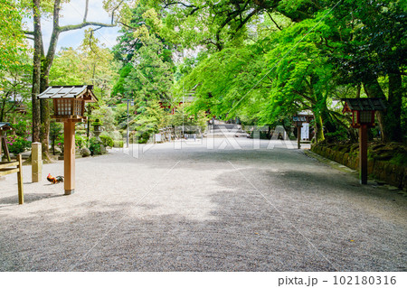 【奈良県】天理市 石上神宮 (2023/04/27撮影) 【奈良県】天理市 石上神宮 (2023/04/27撮影) 102180316