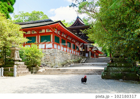 【奈良県】天理市 石上神宮 (2023/04/27撮影) 【奈良県】天理市 石上神宮 (2023/04/27撮影) 102180317