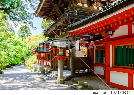 【奈良県】天理市 石上神宮 (2023/04/27撮影) 102180334