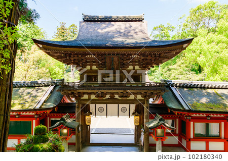 【奈良県】天理市 石上神宮 (2023/04/27撮影) 102180340