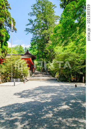 【奈良県】天理市 石上神宮 (2023/04/27撮影) 102180359