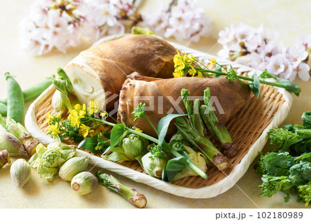 ざるに盛った春野菜 ざるに盛った春野菜 102180989