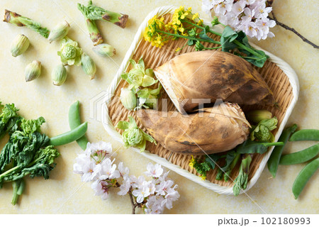 ざるに盛った春野菜 102180993