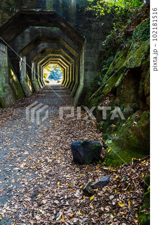 八角トンネル　【熊本県下益城郡美里町】 102181516