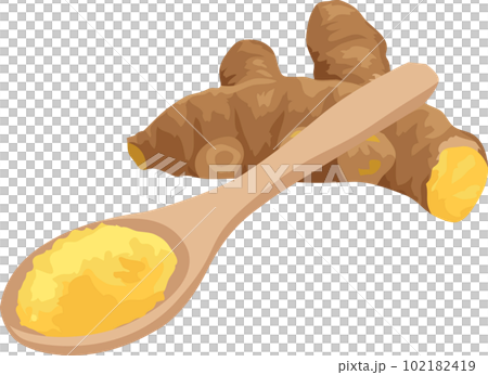 Ginger, ginger illustration material vector 102182419