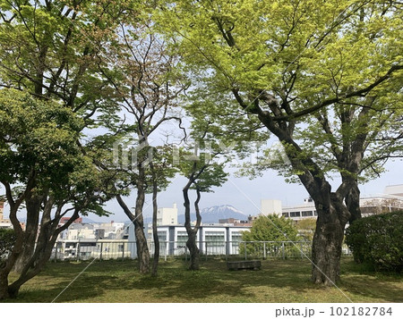 盛岡城址の風景 102182784