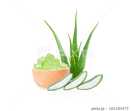 Aloe vera with slice isolated on white background, herb and medical 102183475