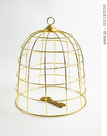 Big golden birdcage and key on white background, concept, stock photo Big golden birdcage and key on white background, concept, stock photo 102183530