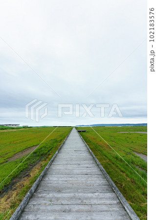 北海道網走市卯原内サンゴ草群落地 102183576