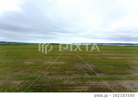 北海道網走市卯原内サンゴ草群落地 北海道網走市卯原内サンゴ草群落地 102183580