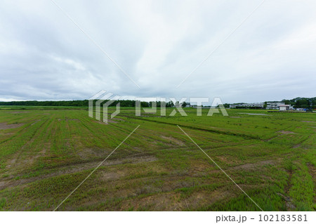 北海道網走市卯原内サンゴ草群落地 北海道網走市卯原内サンゴ草群落地 102183581