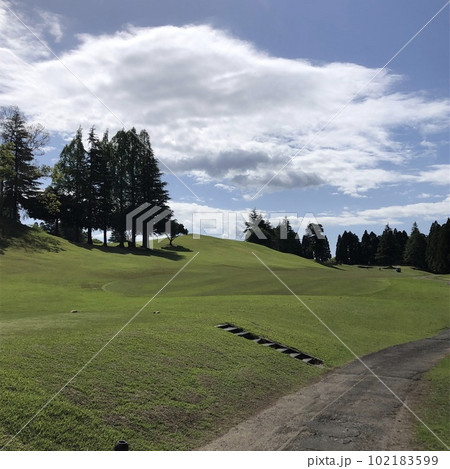 青天の緑の道 ~Blue sky green road~ 青天の緑の道 ~Blue sky green road~ 102183599