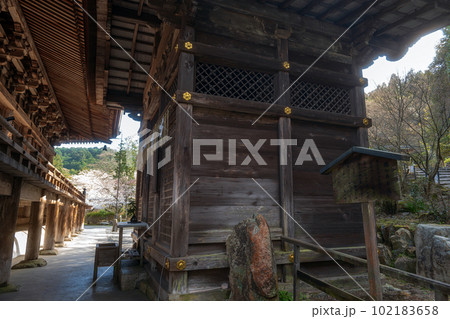 滋賀 三井寺 霊泉が湧き出す閼伽井屋 滋賀 三井寺 霊泉が湧き出す閼伽井屋 102183658