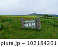 北海道網走市能取岬 102184261