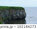 北海道網走市能取岬 102184273