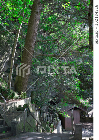 弥谷寺への参道 弥谷寺への参道 102184516