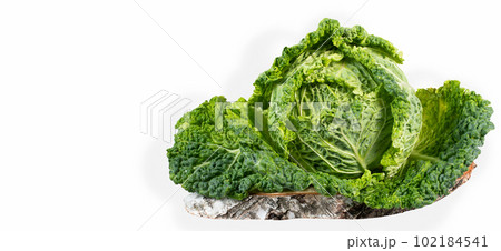 Fresh savoy cabbage on white background	 102184541