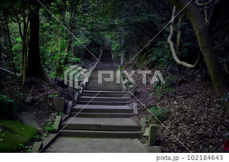 弥谷寺への参道 弥谷寺への参道 102184643