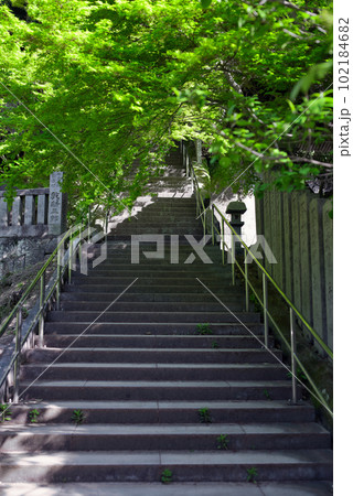 弥谷寺 弥谷寺 102184682