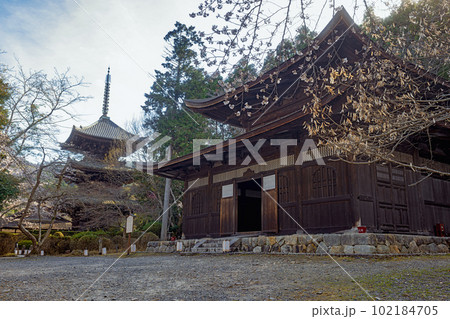 滋賀 三井寺 一切経蔵と三重塔 102184705